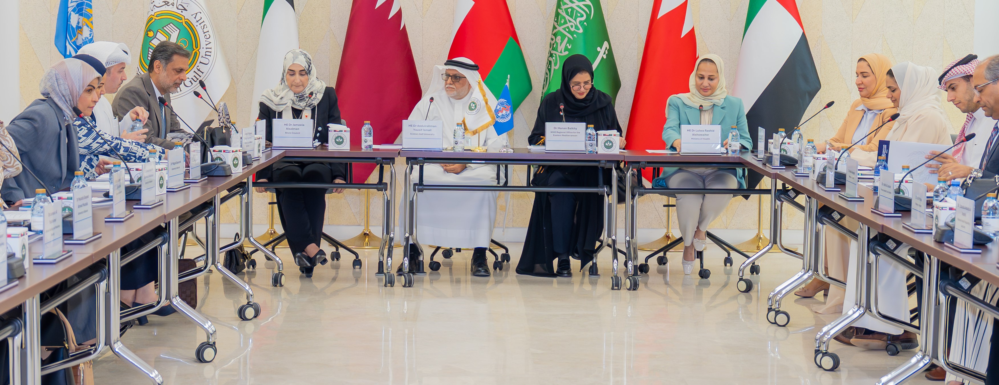 AGU Hosts Roundtable to Discuss Training of Health Workforce on Combating  Antimicrobial Resistance